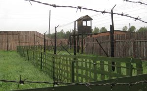 4 rows of fences with barbed wire guarded from freedom